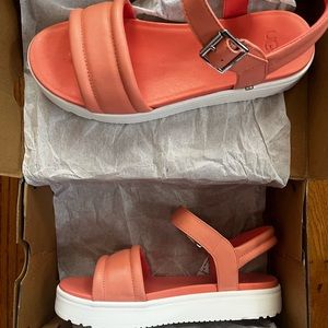New Ugg Zayne Ankle strap sandal sz 8
